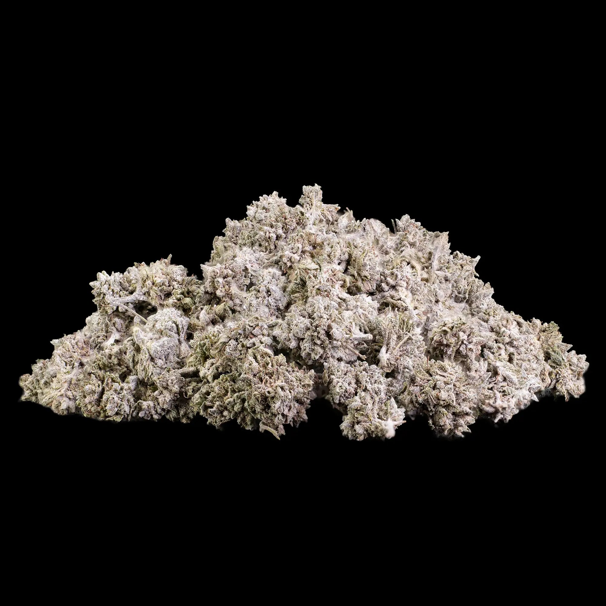 Popcorn Buds