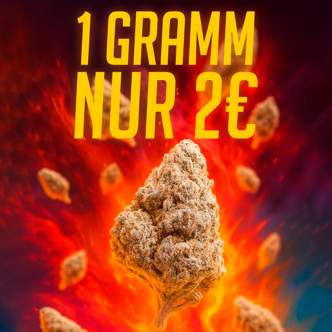 Magic Blaze Indoor - 24% THCA 1 gram