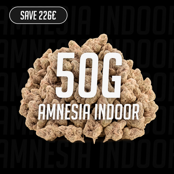 Amnesia Indoor – 23 % THCA, 50 g