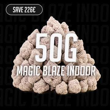 Magic Blaze – 23 % THCA, 50 g