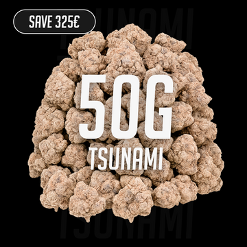 Tsunami – 24 % THCA, 50 g