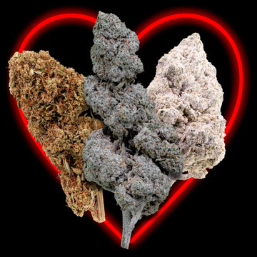 Valentine pack - 15g