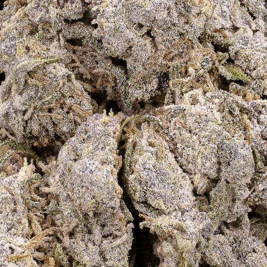 Close-up of Aarhus Puff THCA bud showing trichome-rich structure