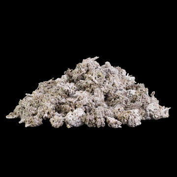 Bruce Banner - 22% THCA 25g