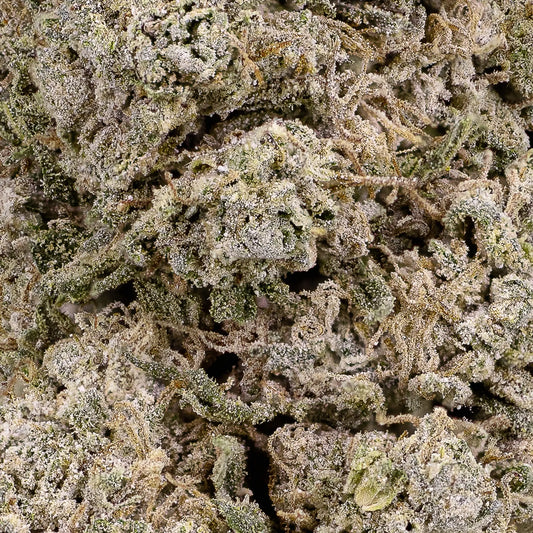 Close-up of Copenhagen Kush THCA bud showing compact kush structure