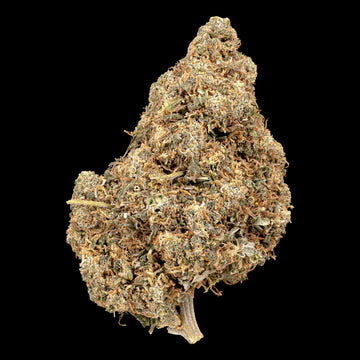 Groovy Ganja – 18 % CBD