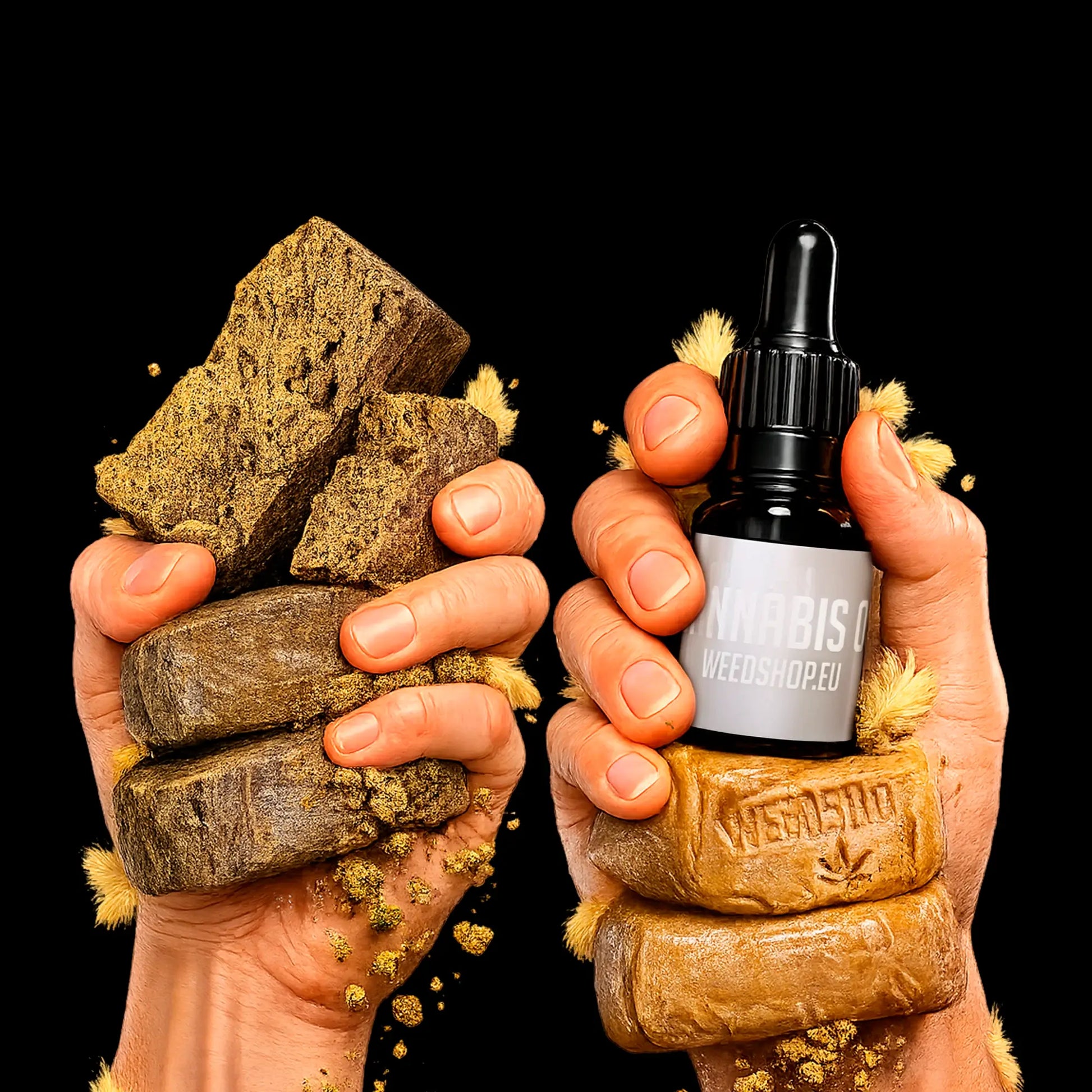 Hands holding cannabis buds and a bottle labeled 'cannabis oil' against a black background