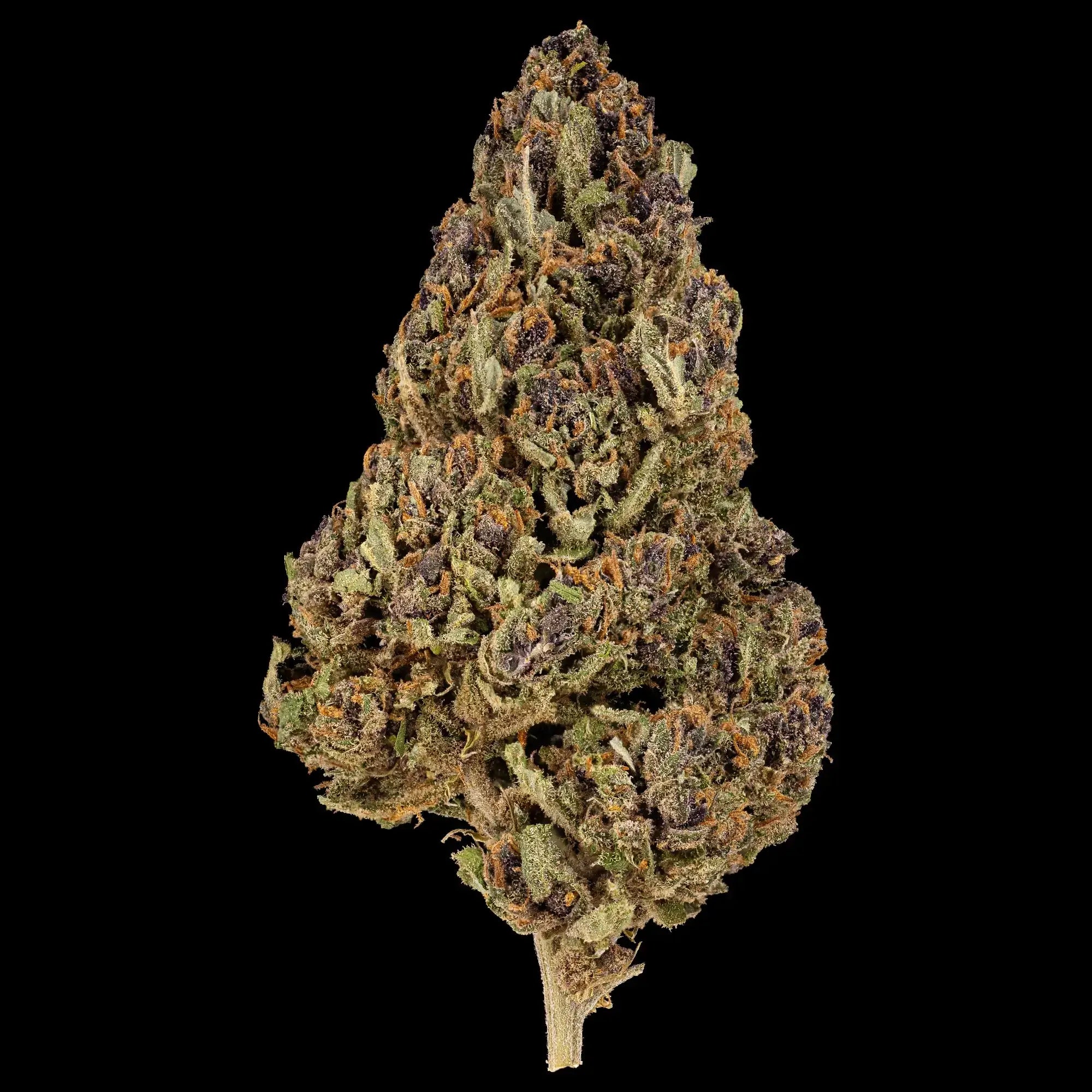 Cherry Poppers 14% CBD cannabis flower with purple buds and orange pistils