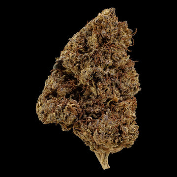 Close-up of a dried cannabis bud on a black background