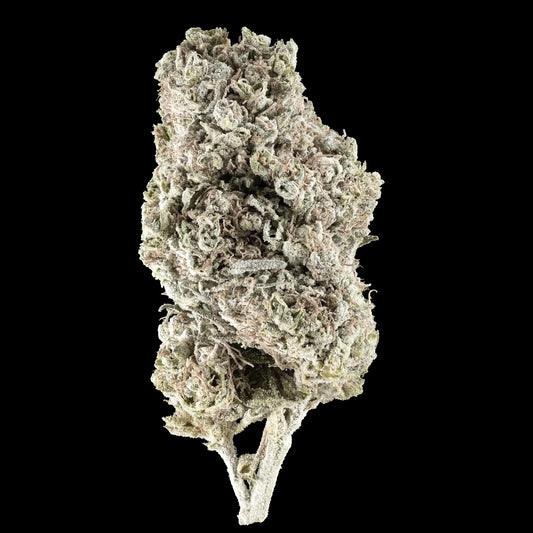 N*1 Sativa 23% THCA glasshouse cannabis flower with dense trichomes