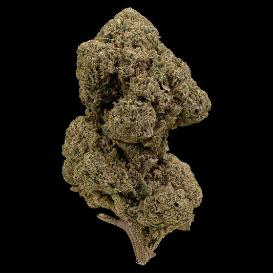 Close-up of a cannabis bud on a black background