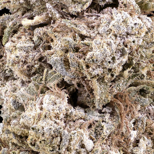 Close-up of Royal Gorilla THCA bud showing compact hydroponic structure