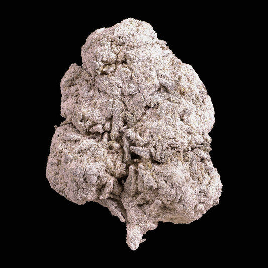 Skunk 1 - 25% THCA 50g 