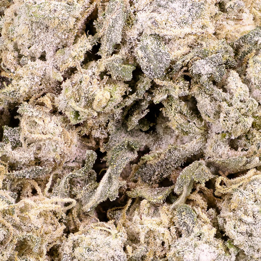 Close-up of Tsunami THCA bud showing compact hybrid structure