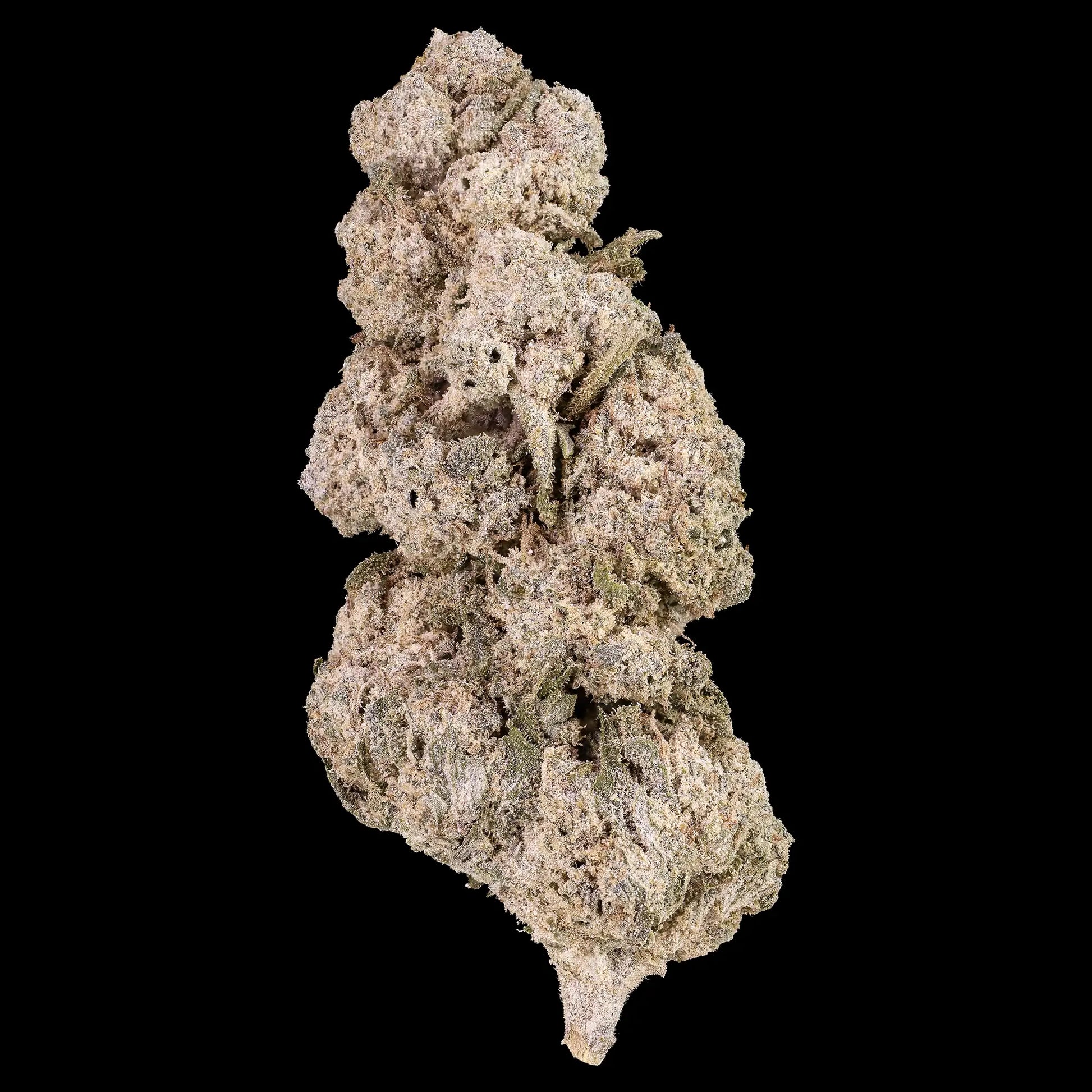 Close-up of a cannabis bud on a black background